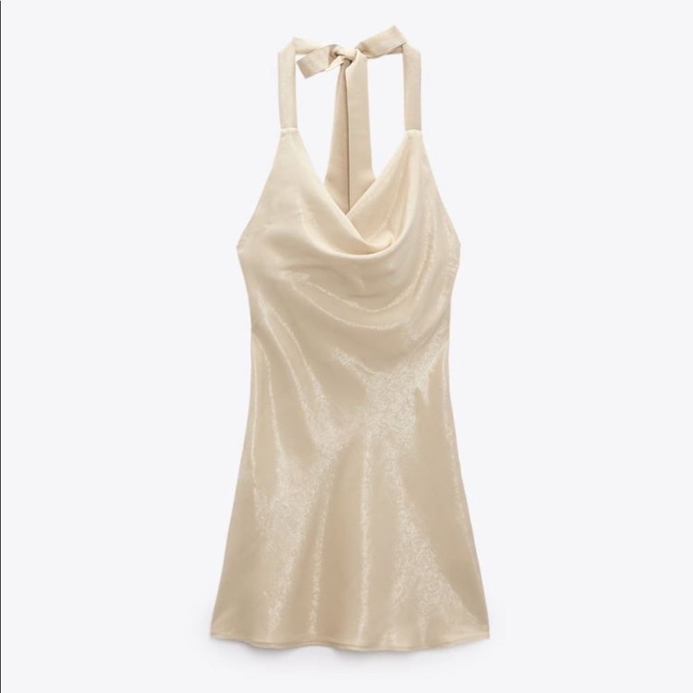 Champagne Zara Mini Dress